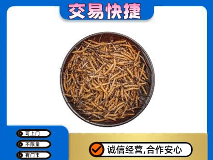湖州市南浔高价回收散虫草