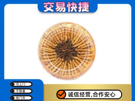 湖州市南浔回收虫草礼盒